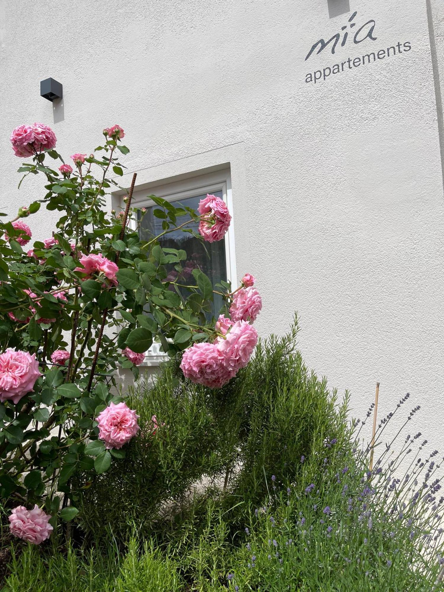 Mia Appartements İnnsbruck Dış mekan fotoğraf